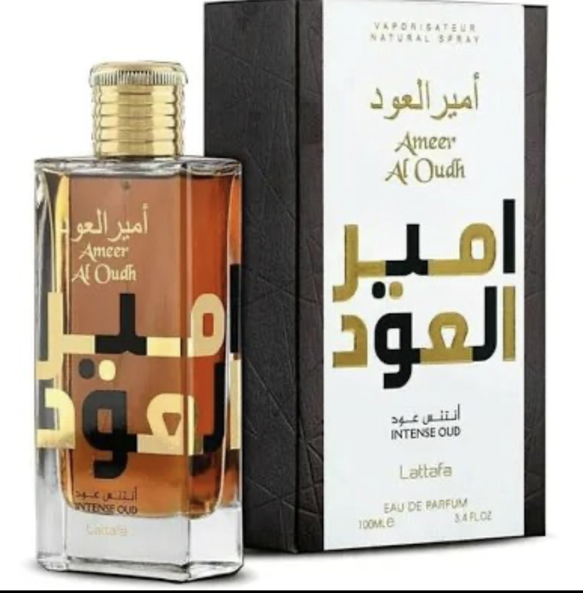 Ameer Al Oudh
