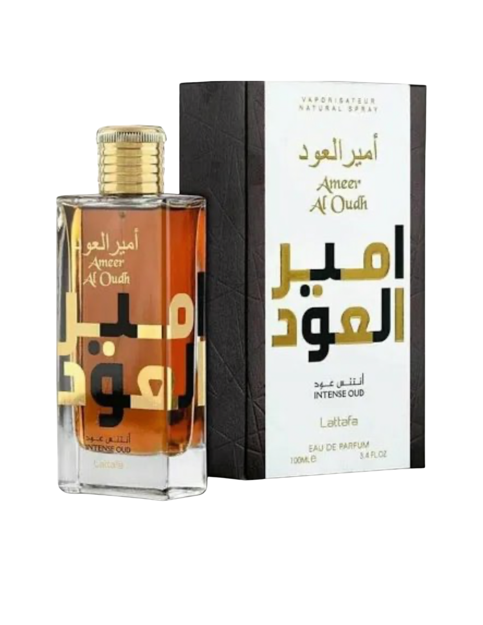 Ameer Al Oudh